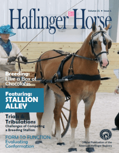 2018Q1Cover