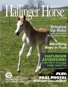2018Q3Cover