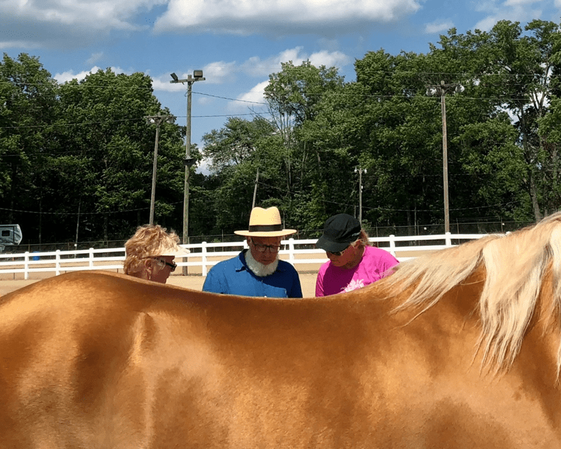 Inspection added to the Futurity Show!