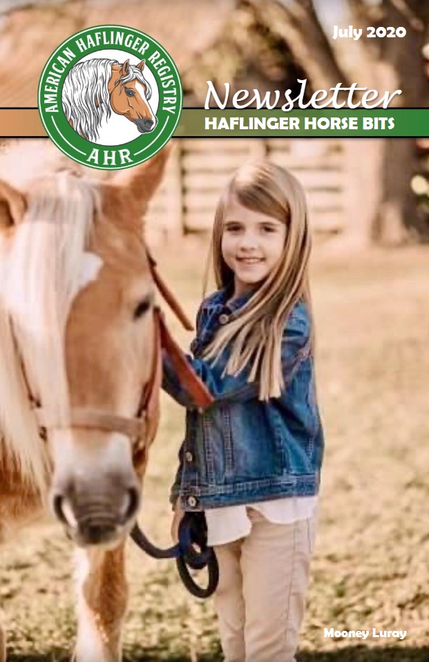 HHB 2020 July