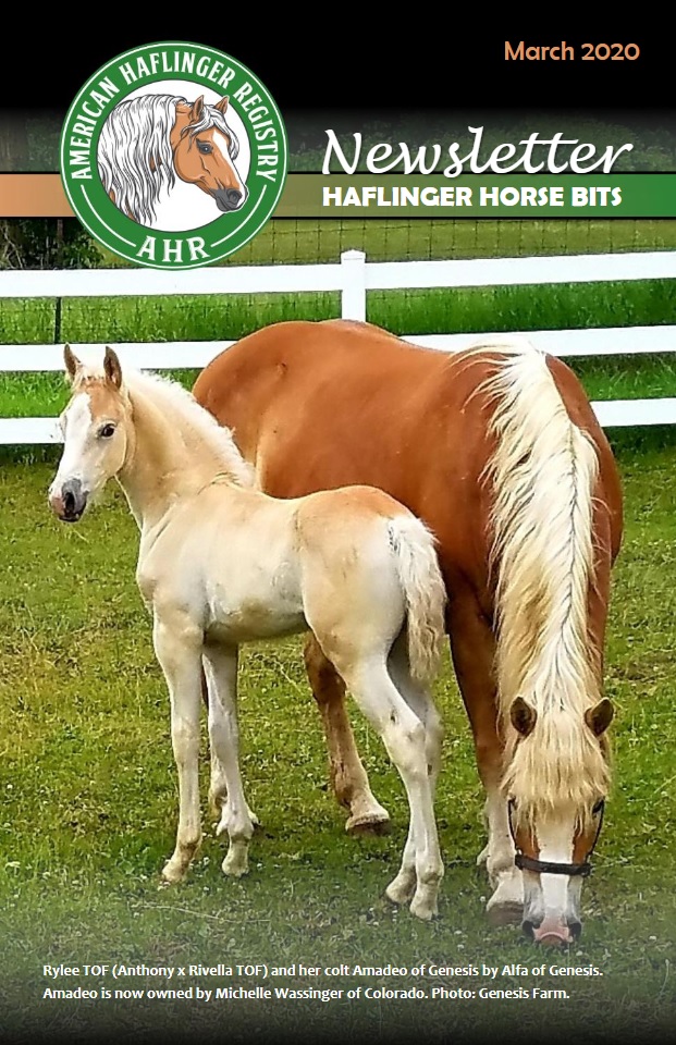 HHB 2020 March
