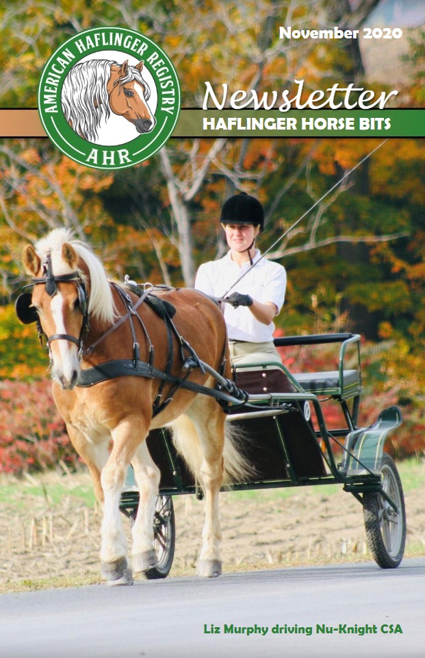 HHB 2020 Nov