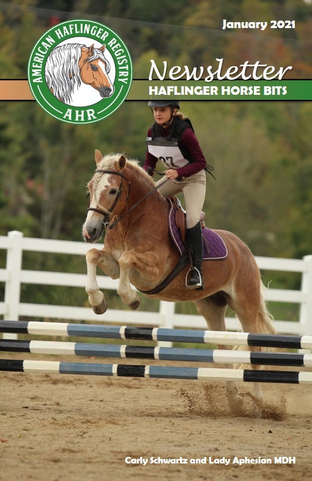 HHB 2021 Jan