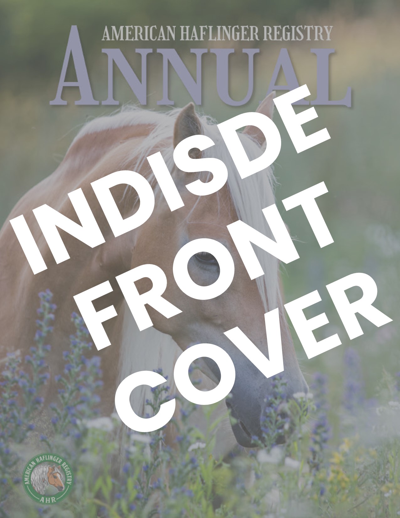 "AHR Annual" Inside Front Cover