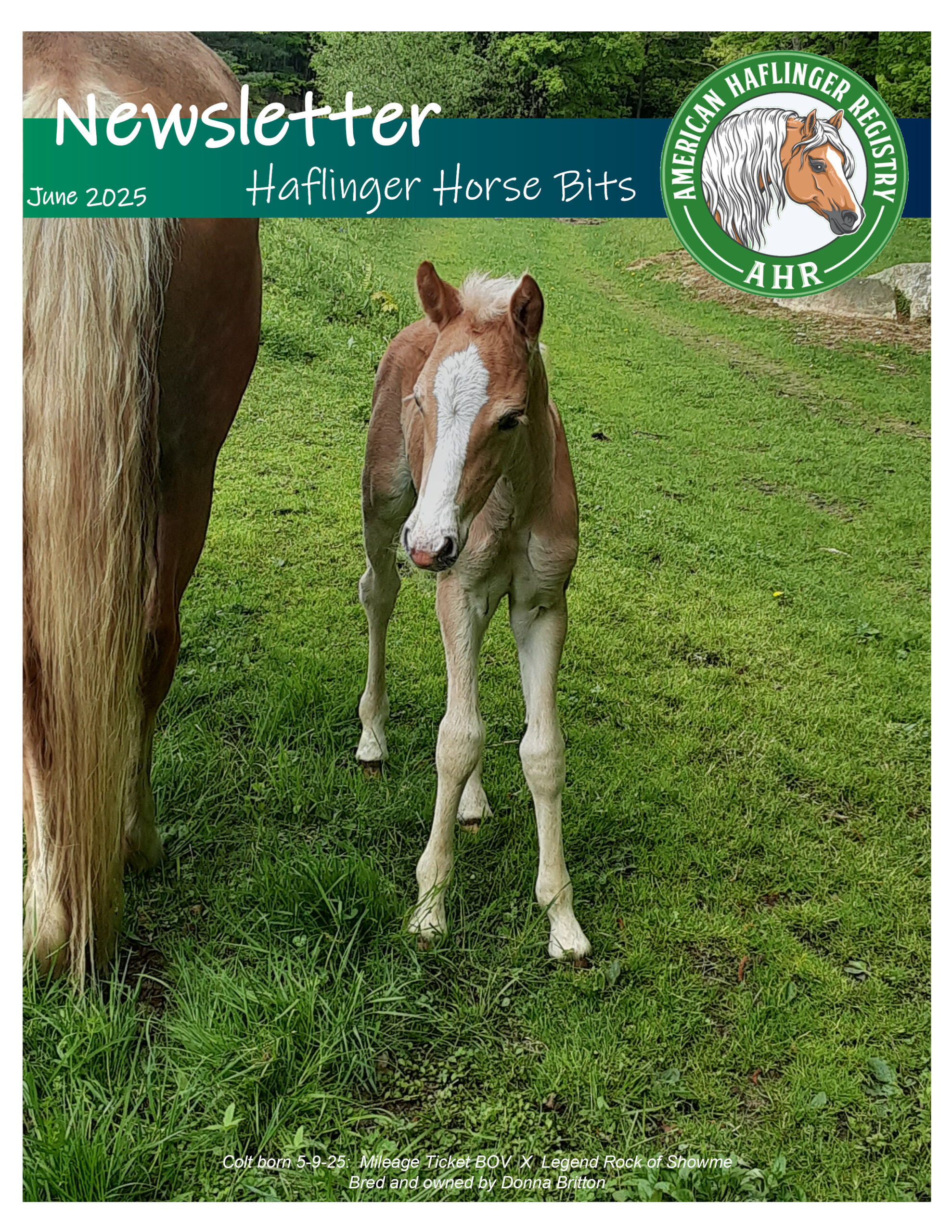 June2025Newsletter_FrontCover